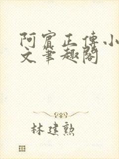 阿宾正传小说全文笔趣阁封面