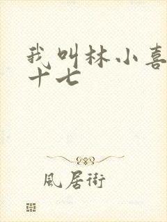 我叫林小喜今年十七