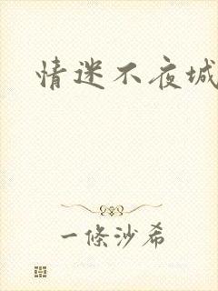 情迷不夜城