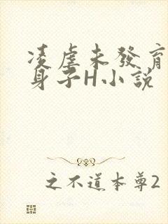 凌虐未发育的小身子H小说封面