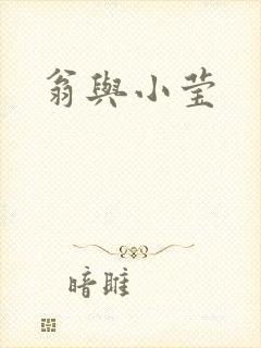 翁与小莹封面