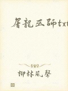 屠龙巫师txt封面