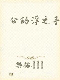 公的浮之手中字