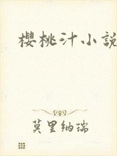 樱桃汁小说封面