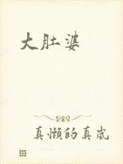 大肚婆封面
