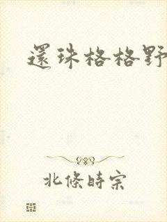 还珠格格野传