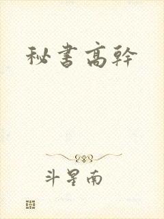 秘书高干封面