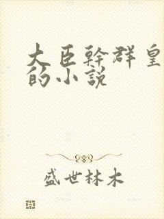 大臣干群皇太后的小说