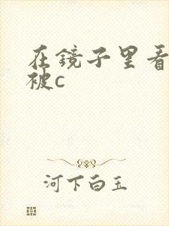 在镜子里看自己被c