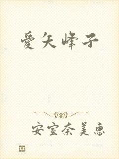 爱矢峰子封面