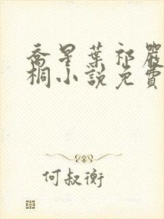 乔星叶祁严梁雨桐小说免费阅读封面