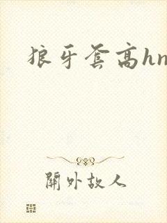 狼牙套高hnp