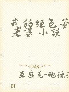 我的绝色董事长老婆 小说