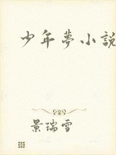 少年梦小说