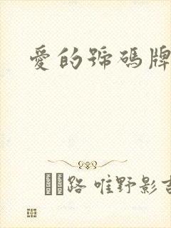 爱的号码牌封面