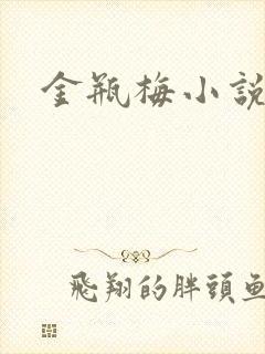金瓶梅小说下载