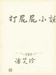 打屁屁小说