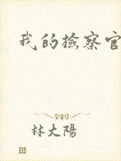 我的检察官先生