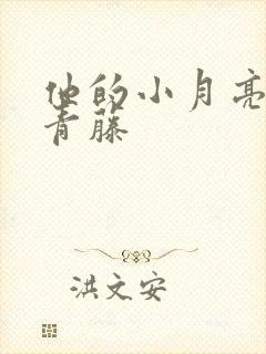 他的小月亮by青藤