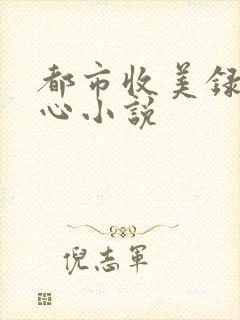 都市收美录宁素心小说