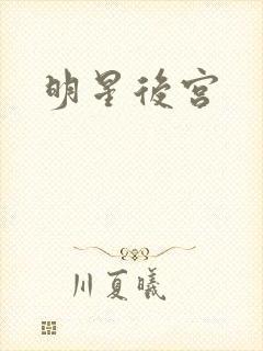 明星后宫