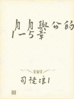 月月与公的激情1一5章