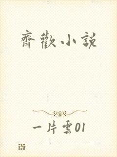 齐欢小说