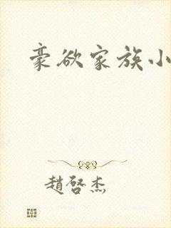 豪欲家族小说封面