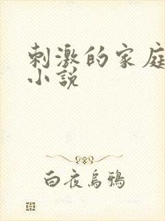 刺激的家庭乱仑小说