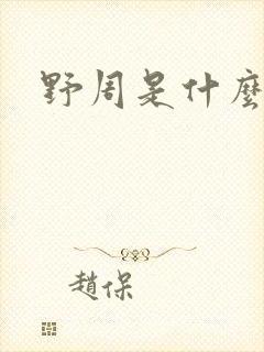 野周是什么意思封面