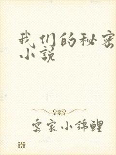 我们的秘密泰剧小说封面