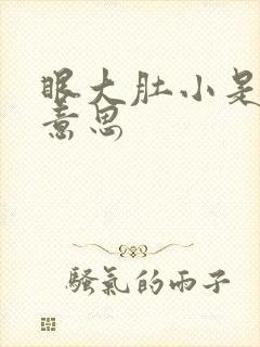 眼大肚小是什么意思