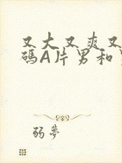 又大又爽又黄无码A片男和男