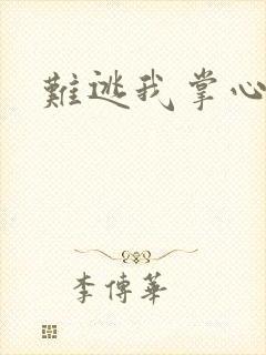 难逃我掌心封面