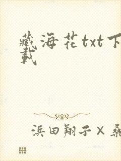 藏海花txt下载