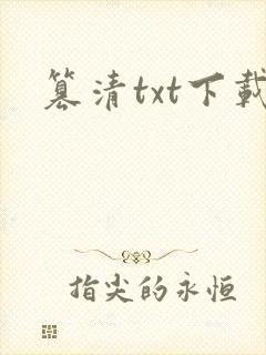 篡清txt下载