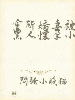 会所娇妻被多个黑人怀孕小说封面