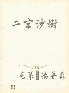 二宫沙树