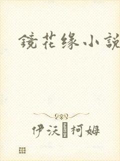 镜花缘小说