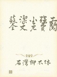 苏洁小强工地情全文免费阅读