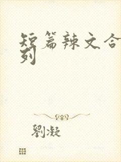 短篇辣文合集系列