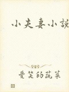小夫妻小说