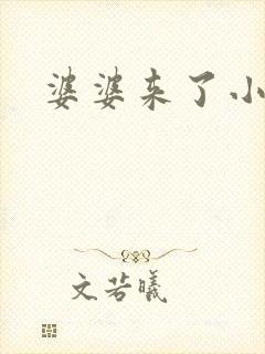 婆婆来了小说
