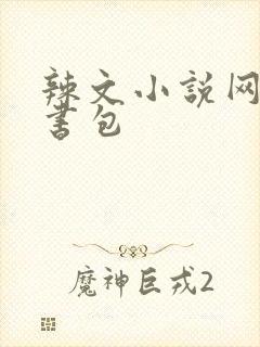 辣文小说网第二书包