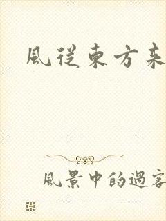 风从东方来封面
