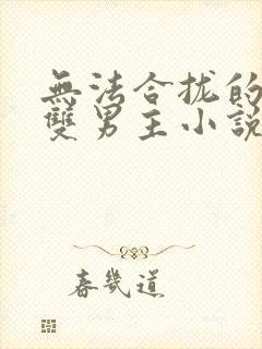无法合拢的总裁双男主小说