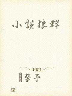 小说狼群封面