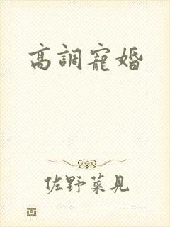 高调宠婚