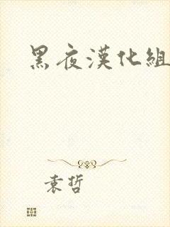 黑夜汉化组