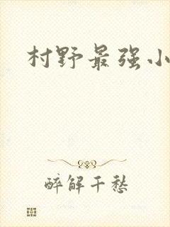 村野最强小农民